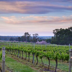 39_20201013_VILLAGES IN THE VALLEY_Boyup Brook Beulah Wines-web