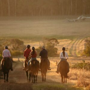 dream-deeper (9)-web