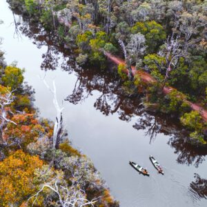 RAC Karri Valley Resort, Southern Forests and Valleys (2)-web